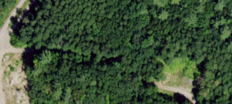 Rt 9n