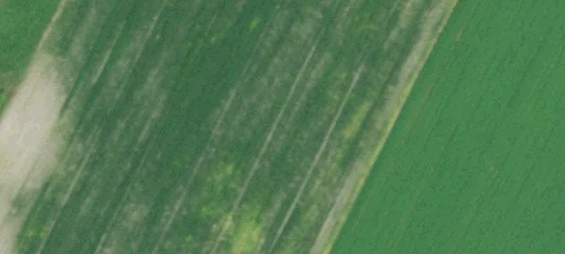 Canisteo, NY 14823