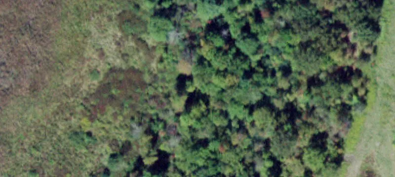 Rte 302