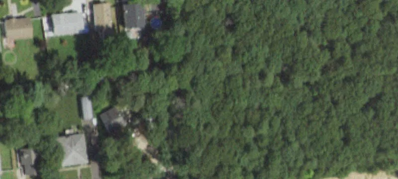 Oakwood Ave