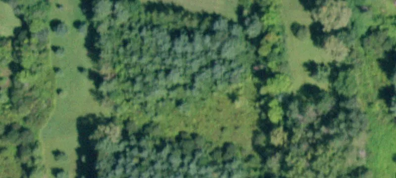 446 Mcqueen Rd