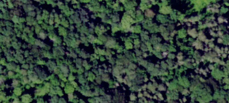 Broad St