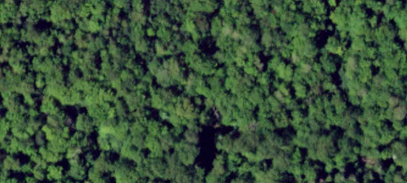 Nys Rte 28