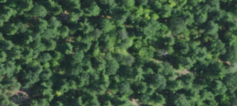 Jay, NY 12941