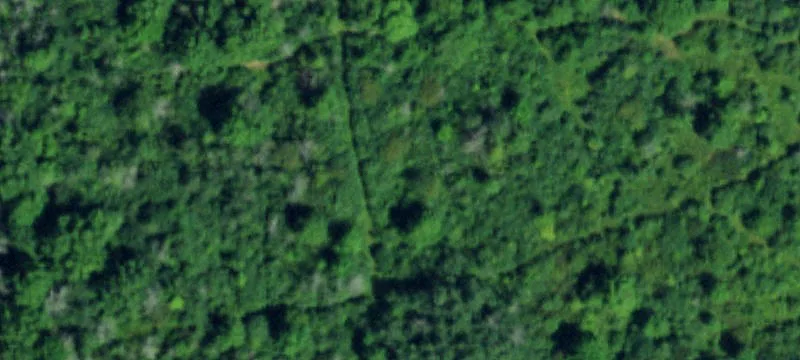 2780 Long Rd