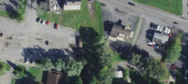 Big Tree Rd, NY
