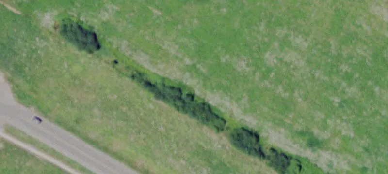Taylor Rd