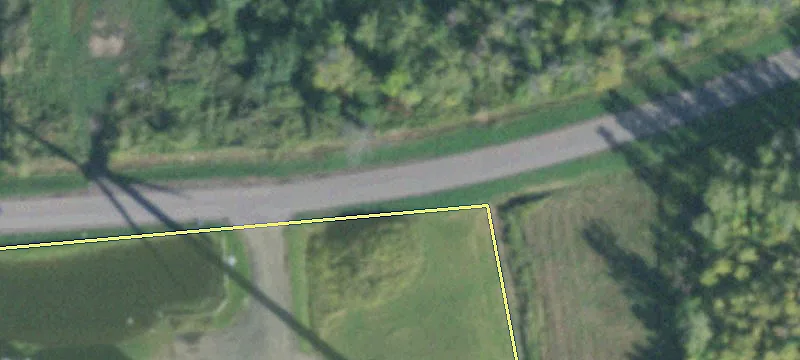 Timothy Ln