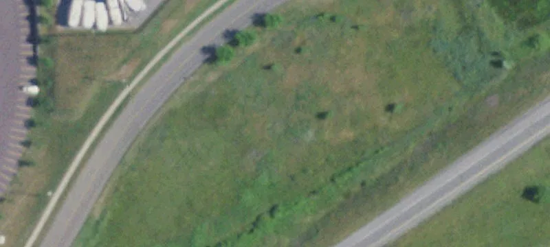1007 Sanford N Rd
