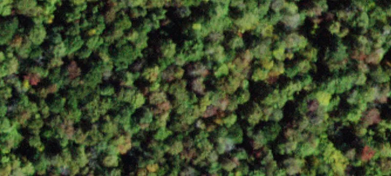 317 Mud Pond Rd
