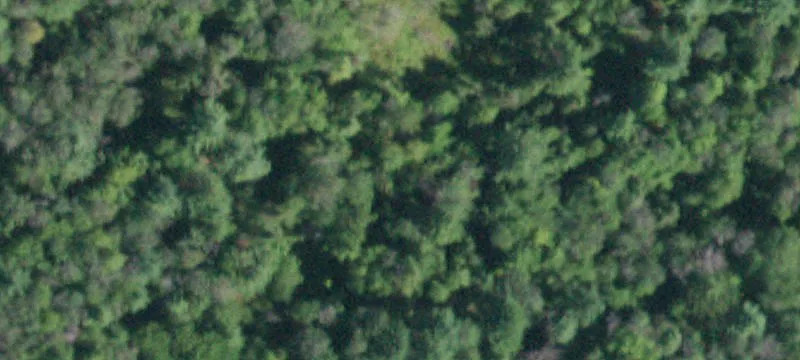 State Hwy 29