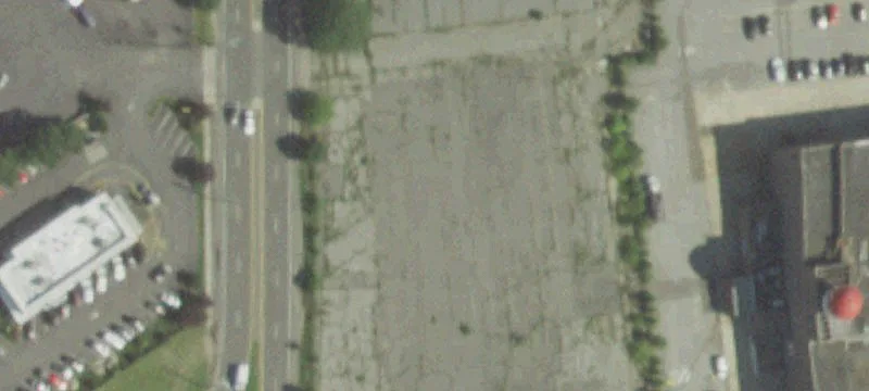 Oyster Bay Rd
