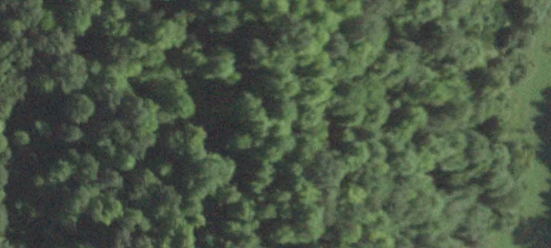 Rte 22