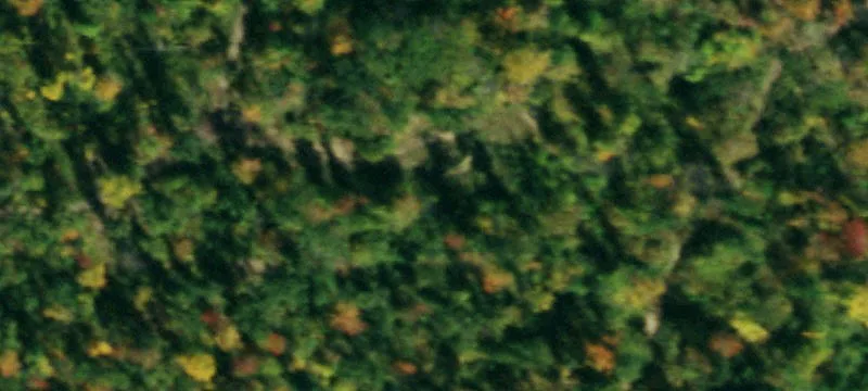 Limestone, NY 14753