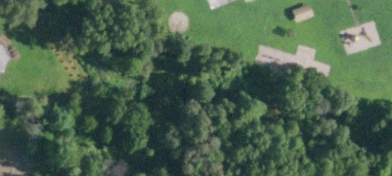 Will Tremper Dr