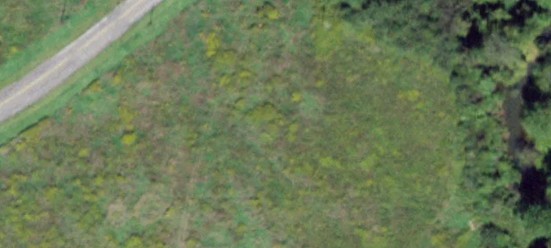 Schweizer Rd