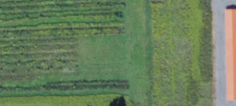 Berryfields Rd