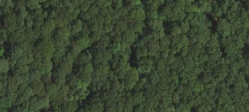 Smithtown, NY 11787