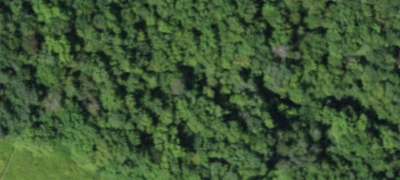 Smyrna, NY 13464