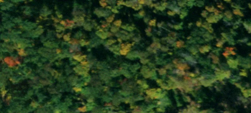Limestone, NY 14753