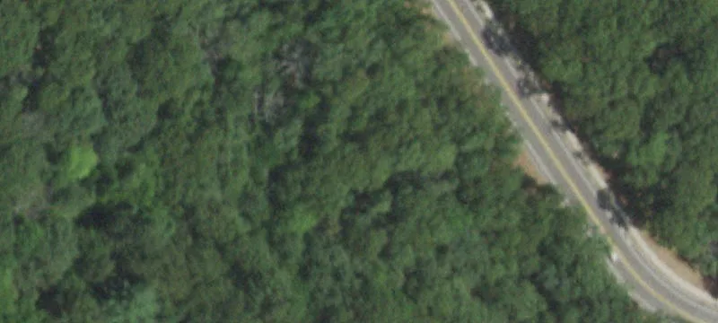 Planters Ave