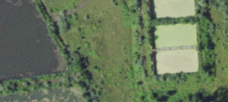 Owens Rd
