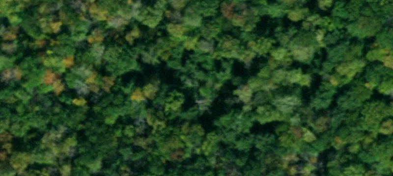 Limestone, NY 14753