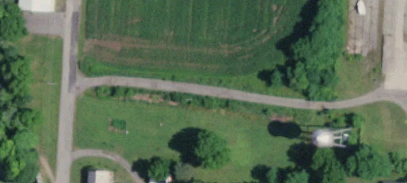 Main Rd