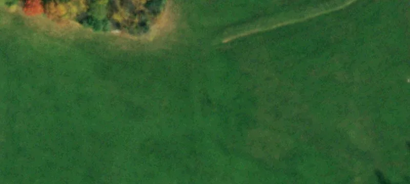 979 Wagner Hl Rd