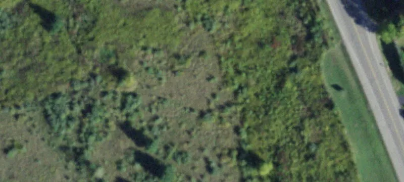 Poags Hole Rd