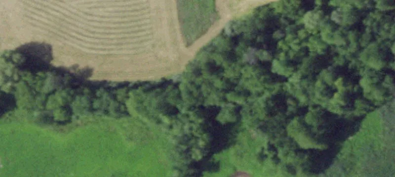 Owens Rd