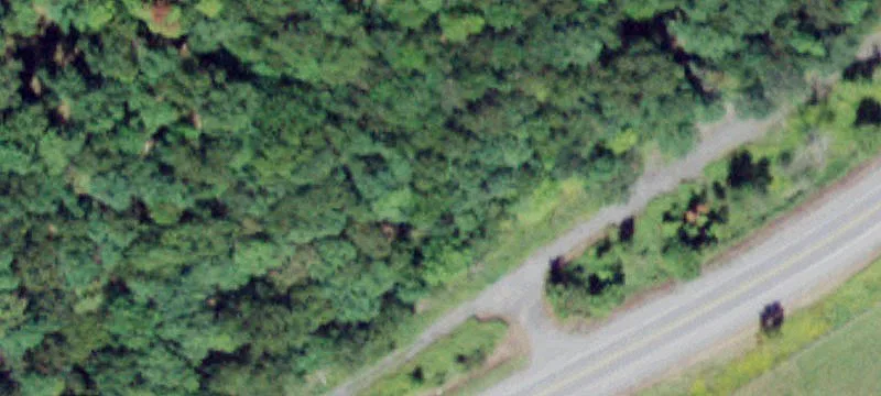 State Rte 209