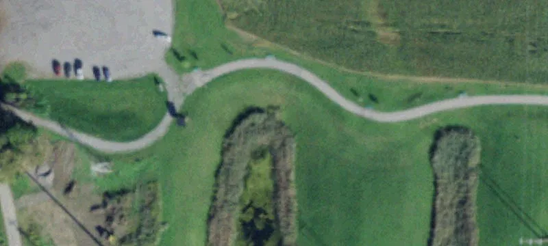 Horseshoe Blvd