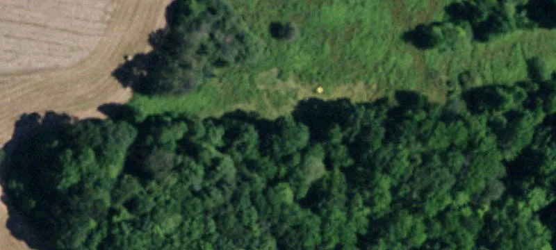 Wellsville, NY 14895