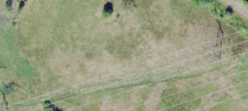 1184 Dolsontown Rd