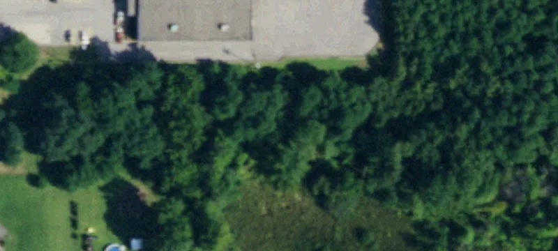 Lkpt Olcott Rd