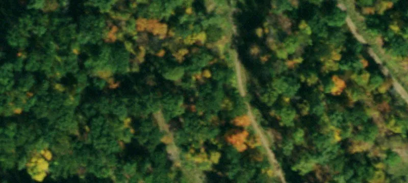 Woodard Lease