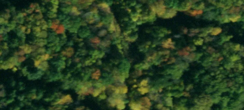 Limestone, NY 14753