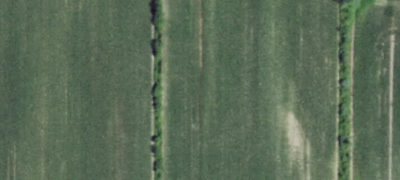 State Rte 415