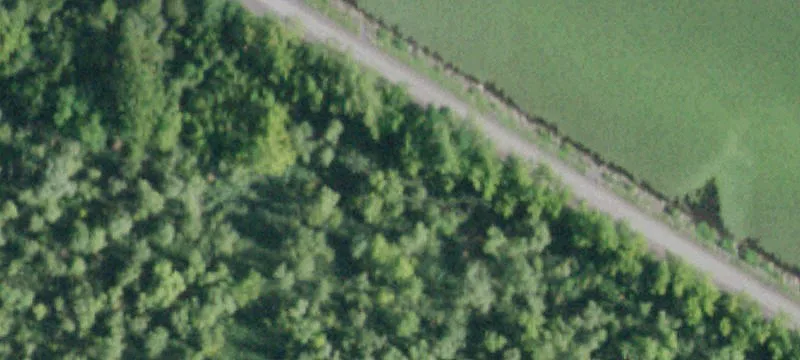 6446 Rte 9w