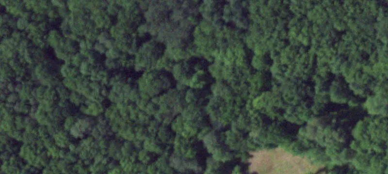 71 Hoag Dr