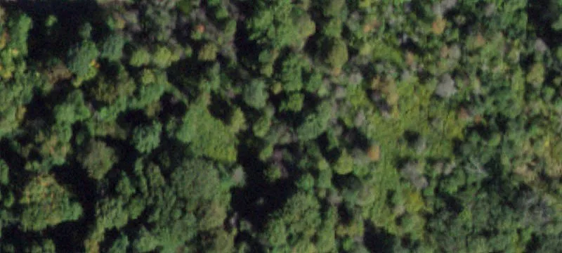 Cincinnatus, NY 13040
