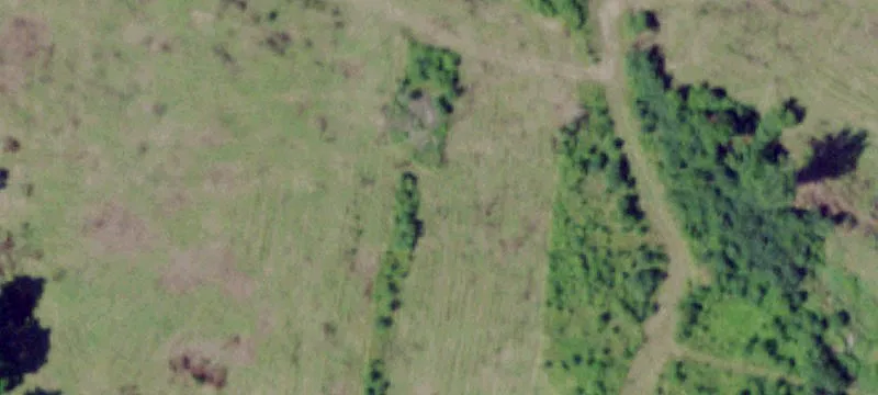 Nys Rte 342