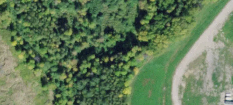 6119 Us Hwy 11