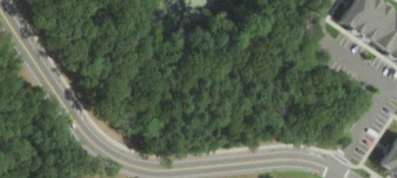 Planters Ave
