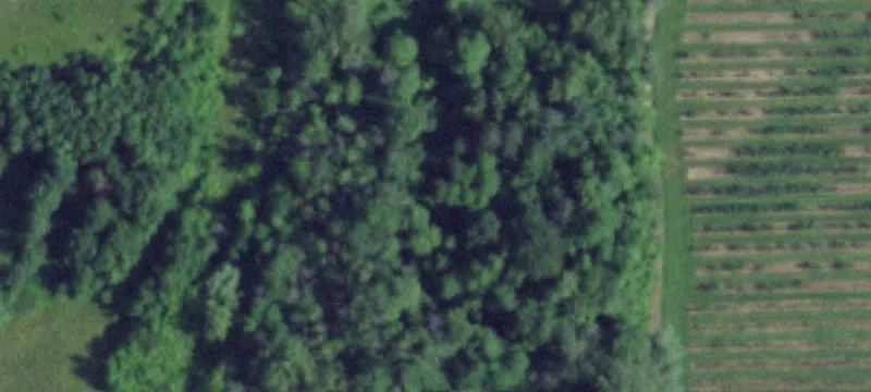Rte 104