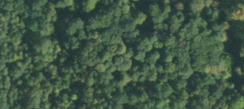 Rte 31