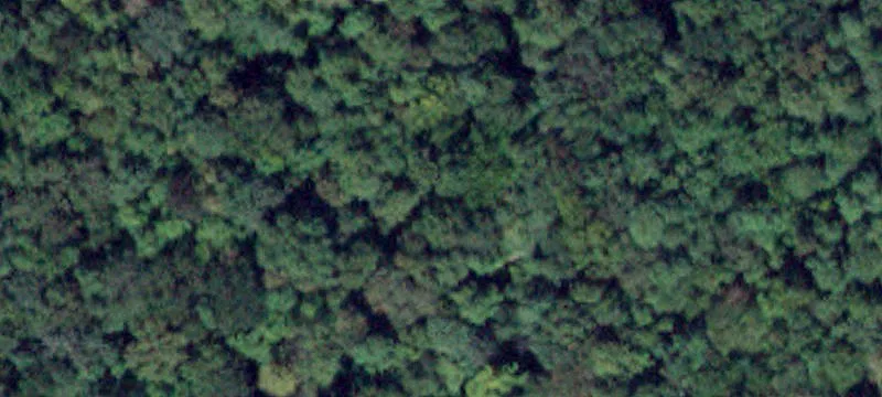 Everhard Rd