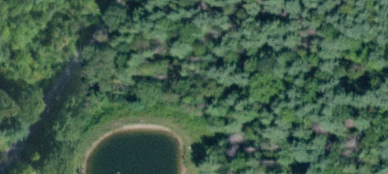 74 Shady Gln Rd