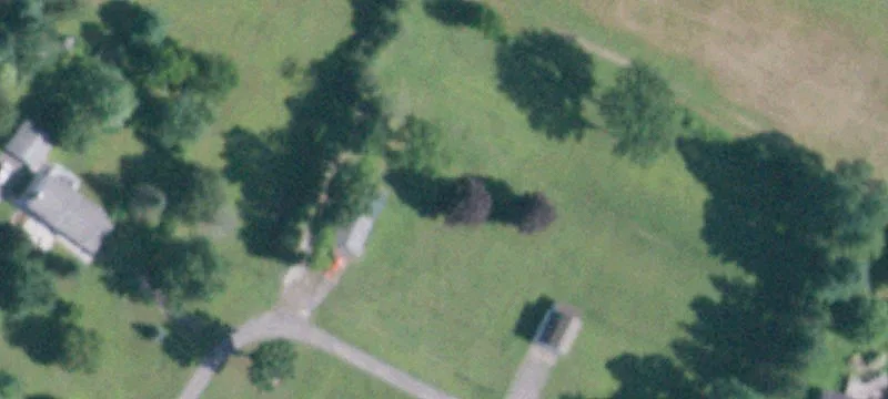 944 Muriel Peterson Dr